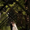Lynda Louis Photography