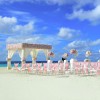 Forever Together Beach Weddings