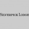 Silverpick