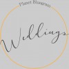 Planet Bluegrass