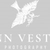 Ann Vestal Photography