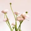 Green Meadows Florist