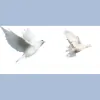 A Touch Above Doves