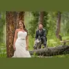 Milestone Imaging