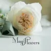 May Flowers