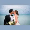 Organic Moments Photography
