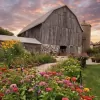 Orchard Valley Acres