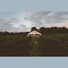 The Vineyard At 12 Corners Venue