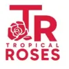 Tropical Roses