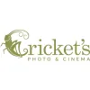 Cricket's Photo & Cinema