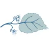 Blue Linden Weddings & Events