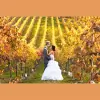 Kathy Turpn Photography