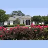 Vines Mansion