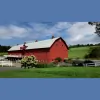 Friedman Farms