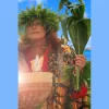 Kuhina Hawaiian Weddings & Blessings