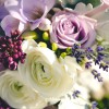 Twigs et fleurs