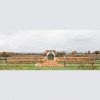 Champlain Valley Alpacas