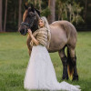 Sunsoar Photography