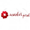 Scarlet Petal